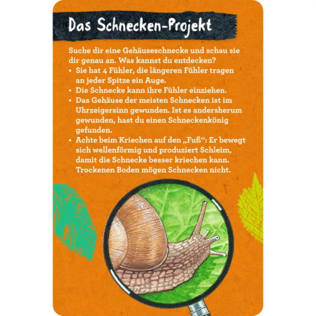 50 Insekten, Spinnen & Co. - Nature Zoom