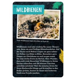 50 Garten-Projekte - Nature Zoom (Blechdose)