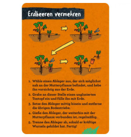 50 Garten-Projekte - Nature Zoom (Blechdose)