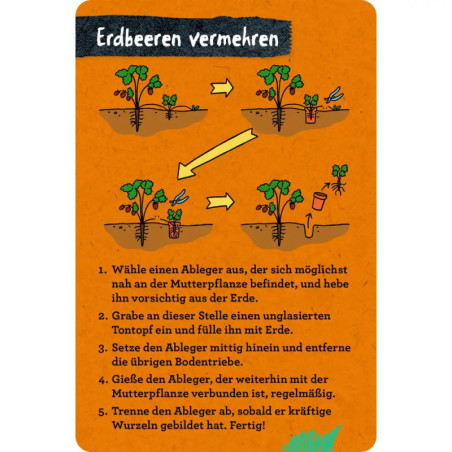 50 Garten-Projekte - Nature Zoom (Blechdose)
