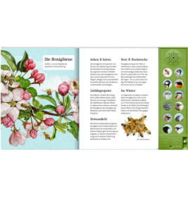 Was singt und summt im Apfelbaum?