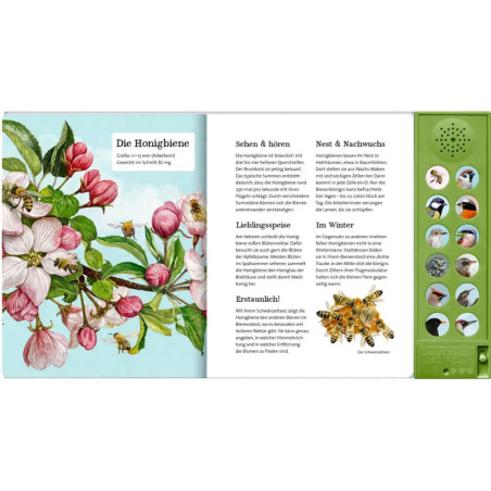 Was singt und summt im Apfelbaum?