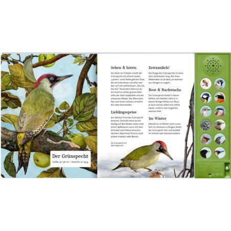 Was singt und summt im Apfelbaum?