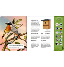 Was singt und summt im Apfelbaum?