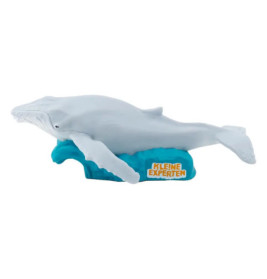 Weißer Spielzeugwal auf blauem Sockel mit dem Label Kleine Experten.