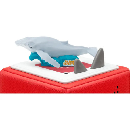 Tonies Kleine Experten tauchen mit Wale