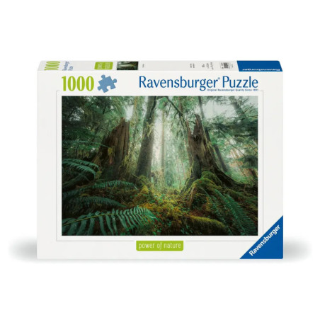 Ravensburger Puzzle mit 1000 Teilen und einem Motiv: dichter, grüner Wald mit Bäumen und Farnen.
