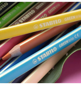 Farbstiftetui GREENtrio 12er