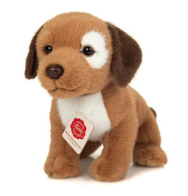 Brauner Plüschwelpe mit Schlappohren, weißer Brust und rotem Halsband sitzt aufrecht.