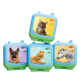 Vier bunte Würfel mit Bildern von Katze, Hund, Echse und Pferd sowie dem Text Beste Freunde.
