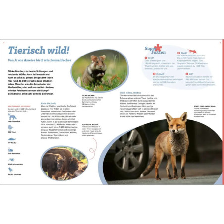 WAS IST WAS Deutschland. Wo und wie wir leben