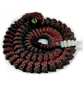 Klapperschlange - Kristalltier,