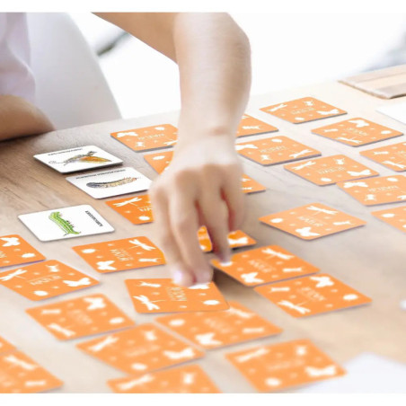 Das große Insekten Memo