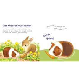 Hör mal, wie ich miauen kann