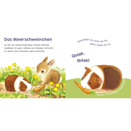 Hör mal, wie ich miauen kann