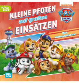 Die Paw-Patrol-Welpen posieren gemeinsam in Uniform vor einem leuchtend rot-orangenen Hintergrund und lächeln.