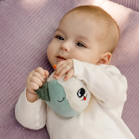 Stoffball Hund NATUR