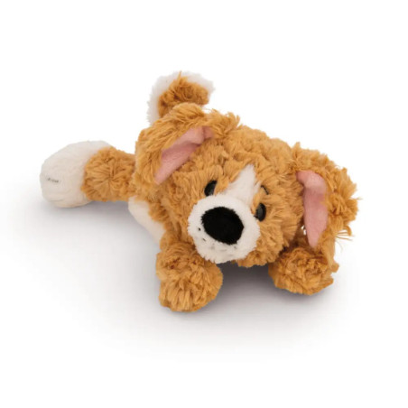 Ein braun-weißer Plüschhund mit Schlappohren liegt auf weißem Hintergrund.