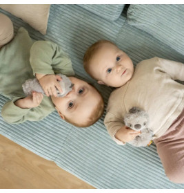 Ring-Greifling Faultier