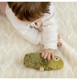 Stabgreifling Chamäleon