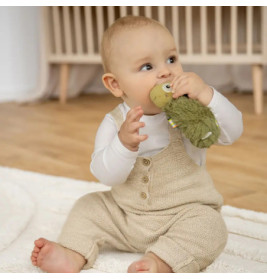 Stabgreifling Chamäleon