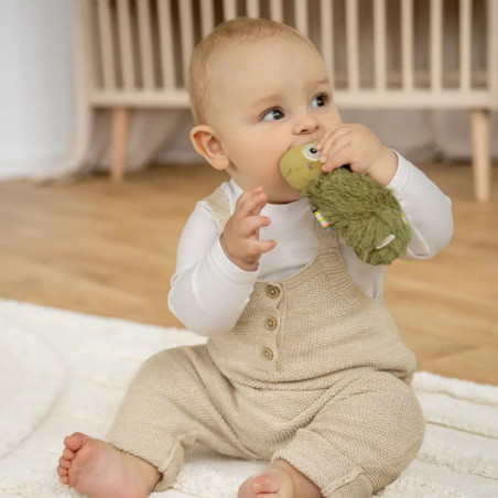 Stabgreifling Chamäleon