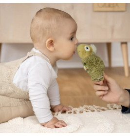 Stabgreifling Chamäleon