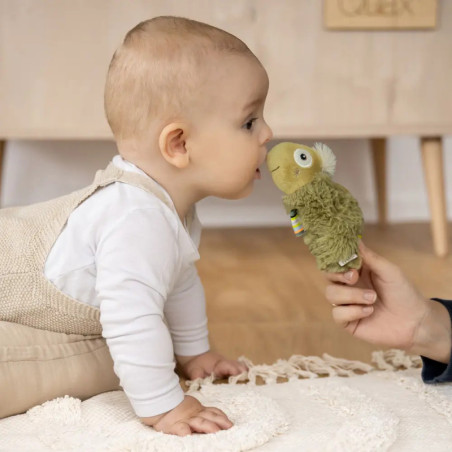 Stabgreifling Chamäleon