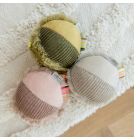 Rasselball Chamäleon