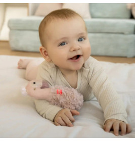 Stabgreifling Flamingo