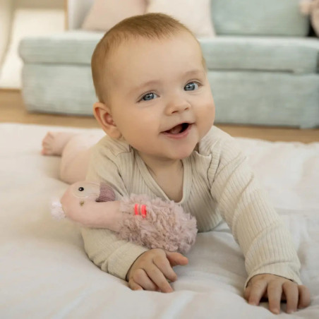 Stabgreifling Flamingo