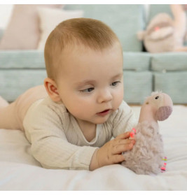 Stabgreifling Flamingo