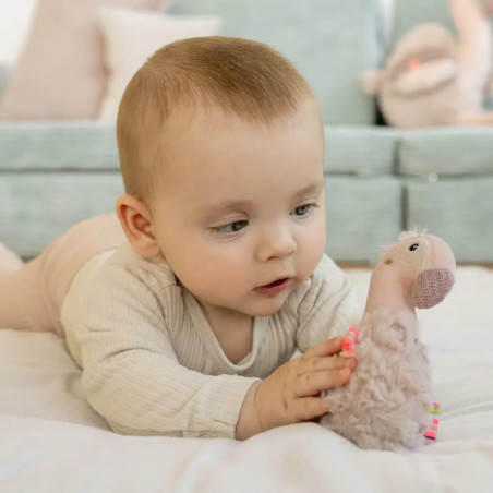 Stabgreifling Flamingo