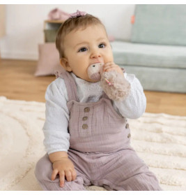 Stabgreifling Flamingo