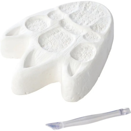 Dinosaurier zum Ausgraben, 6-sort.