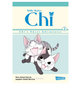 Dragon Ball Massiv 10