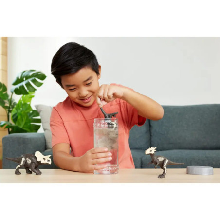 Dino Reveal Sortiment