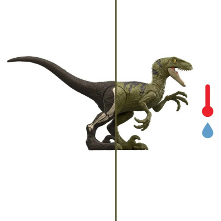 Dino Reveal Sortiment