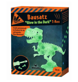 Schachtel für ein leuchtendes T-Rex-Modell mit deutscher Aufschrift und Abbildung des fertigen Dinosauriers.