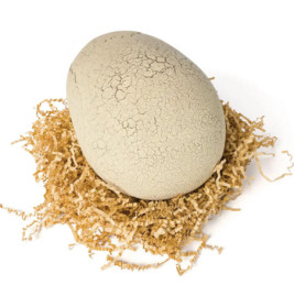 Jurassic Interactiv Dino - grün