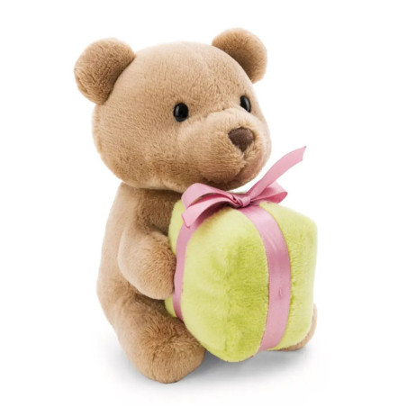 Ein brauner Plüsch-Teddybär hält ein grünes Geschenk mit rosa Schleife.