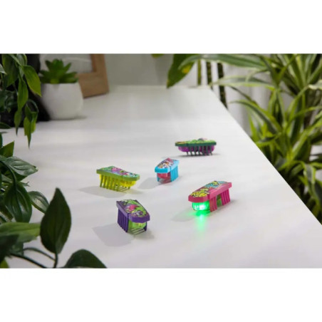 Hex Bots Nano Geschenkset