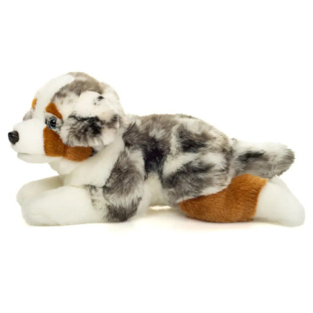 Australian Shepherd liegend 40 cm