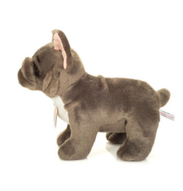 Französische Bulldogge stehend grau 30 cm