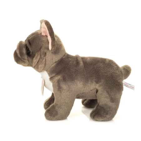 Französische Bulldogge stehend grau 30 cm
