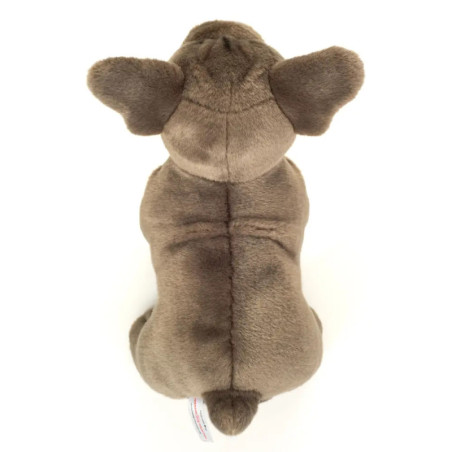 Französische Bulldogge stehend grau 30 cm