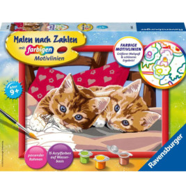 Malset mit zwei orangefarbenen Katzen auf einem Bett Farben und Pinsel liegen im Vordergrund.