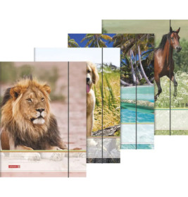 Sammelmappe A3 Tiere Gummizug
