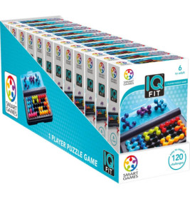 smart Games IQ Fit