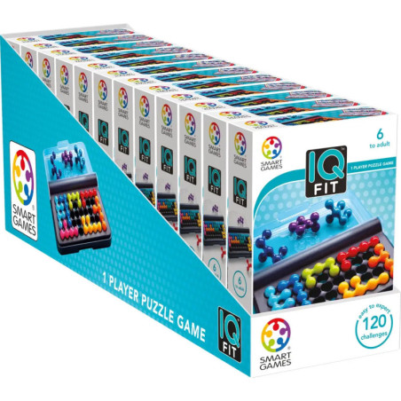smart Games IQ Fit